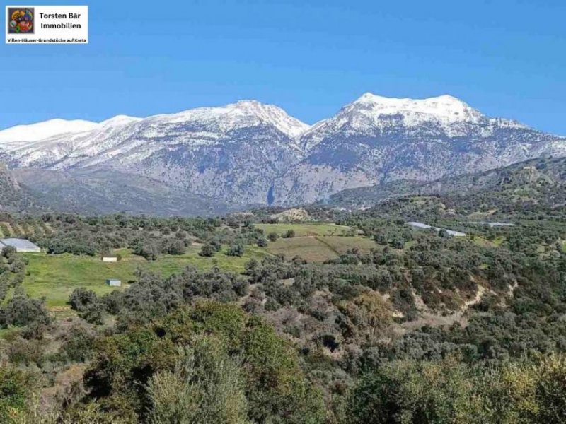 Kalochorafitis Kreta, Kalochorafiti: Landwirtschaftliches Grundstück mit 170 Olivenbäumen Grundstück kaufen